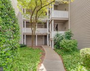 14305 Climbing Rose Way Unit #103, Centreville image