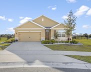 3150 Burrowing Owl Drive, Mims image