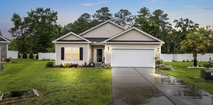 336 Pickney Ct., Conway