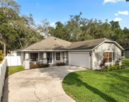 11717 Sycamore Place, Temple Terrace image
