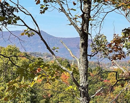 Lot 2 Caney Creek, Pigeon Forge