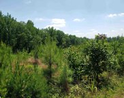 Robbins Road, Chesnee image