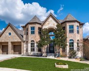 25806 Warbler View, San Antonio image