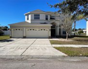 11353 Callaway Pond Drive, Riverview image