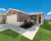 331 Mistflower, New Braunfels image
