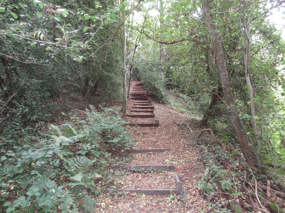 Dudley Miles under CC BY-SA 3.0 via Wikimedia Commons