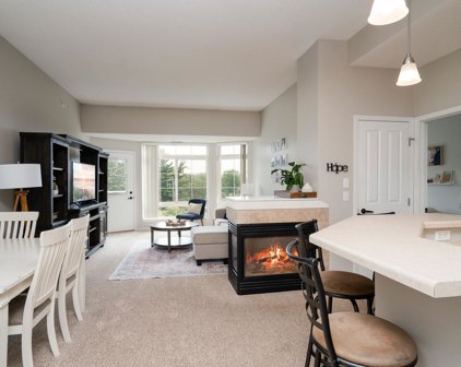 649 Old Highway 8  NW Unit #335, New Brighton