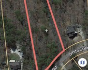 White Springs Road Unit 90, Warrior image