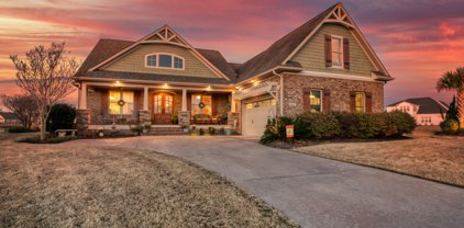 1011 Coralberry Court, Leland