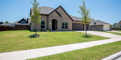 160 Conchas  Drive, Forney