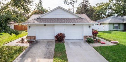 7826 Richwood Drive, Orlando