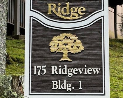 175 Ridgeview Road Unit 1-3, Sugar Mountain