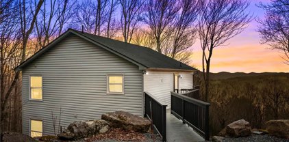 170 Chestnut Way Road, Beech Mountain