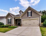 17015 Challory Glen  Way, Charlotte image