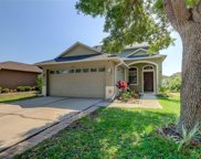 8426 Deer Chase Drive, Riverview image