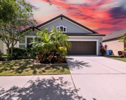 11341 American Holly Drive, Riverview image