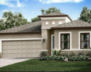 1710 Goblet Cove Street, Kissimmee image