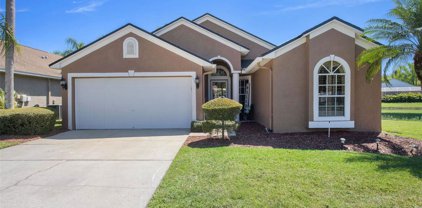408 Cypress View Drive, Oldsmar