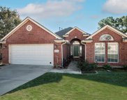 12720 Chinaberry  Court, Fort Worth image