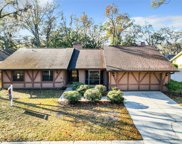3017 Tall Pine Drive, Safety Harbor image