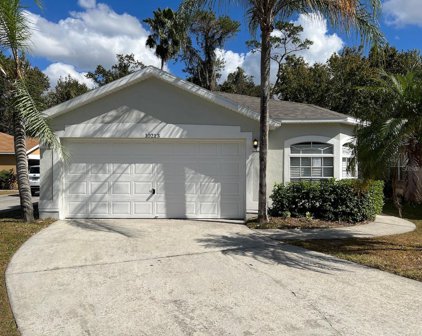 10213 Cody Lane, Orlando