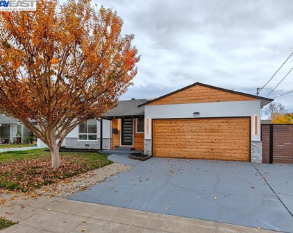 4630 Bianca, Fremont