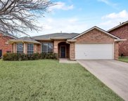 1707 Country Walk Lane, Wylie image