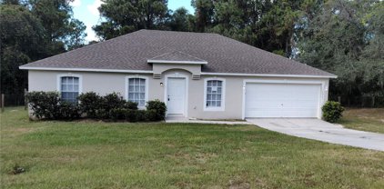 16061 Cave Swallow Road, Weeki Wachee