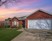 421 Hollyberry  Drive, Mansfield image