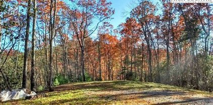 Lot 3 Hidden Forest Trail, Todd