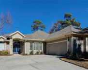 19 Persimmon Place, Hilton Head Island image