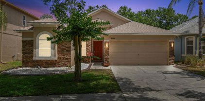 7753 Blue Spring Drive, Land O' Lakes