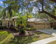 10152 Whisper Pointe Drive, Tampa image