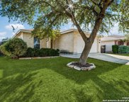 338 Ibis Falls Dr, New Braunfels image