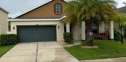 12217 Ballentrae Forest Drive, Riverview