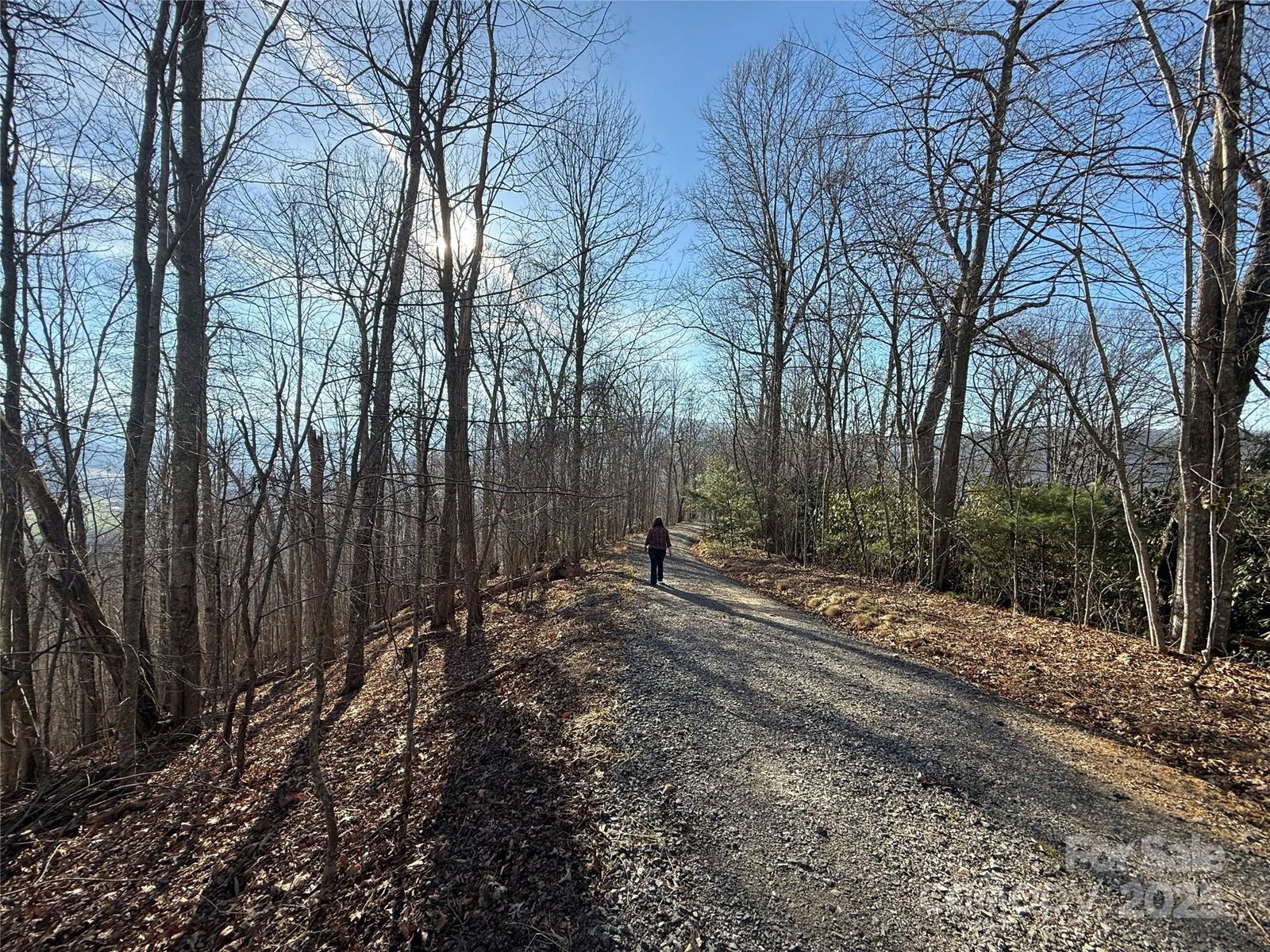 Lot 21 Brer Rabbit Trail Unit #21, Waynesville, 28785