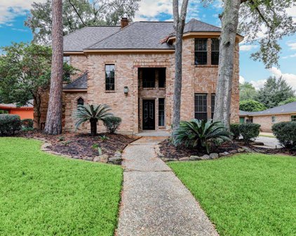2718 Grand Falls Drive, Kingwood