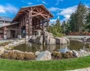 1175 Resort  Dr Unit #224 (B-1), Parksville image