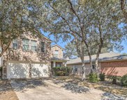 4007 Alpine Aster, San Antonio image