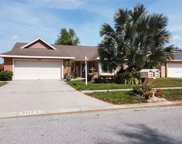 2045 Darlington Oak Drive, Seffner image