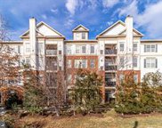11501 Cardoness Ln Unit #202, Fairfax image