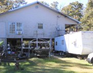 48259 Amite River Rd, St Amant image