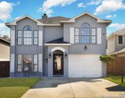 11442 Bald Mtn, San Antonio image