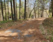 217 Moseywood, Kidder Township S image
