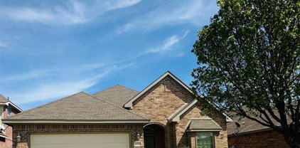 8713 Flying Ranch  Road, Fort Worth
