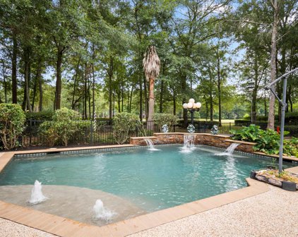 26722 Winding River Trail, Huffman