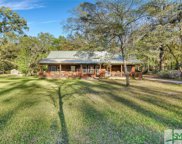 90 Pine Ridge Trail, Ellabell image