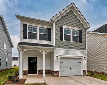 1010 Field Strip Road, Columbia