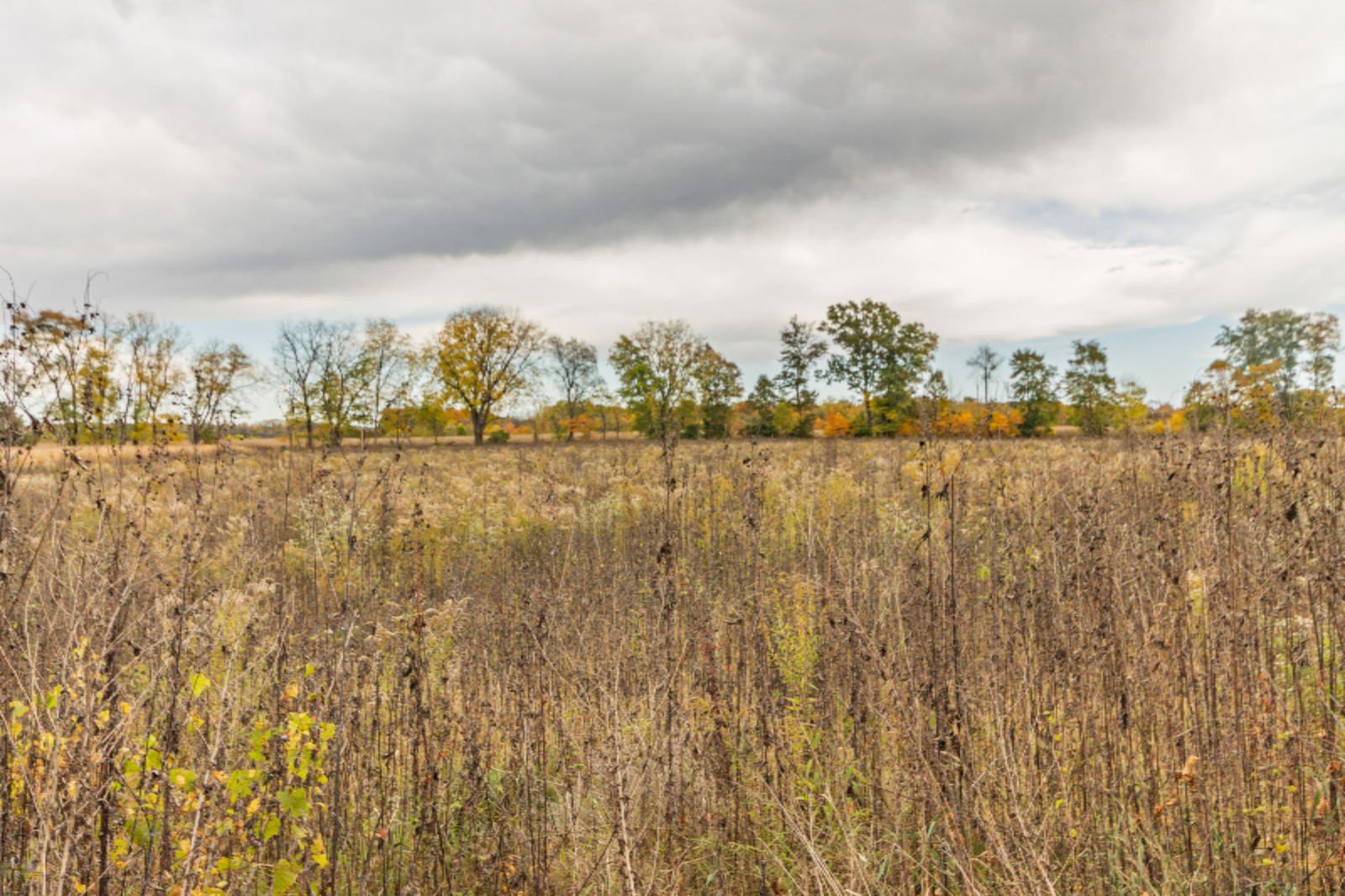 Twin Lakes Road, Dowagiac, 49047 Southwestern Michigan S