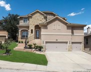 28118 Vine Cliff, Boerne image